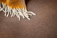 Regal Elegance carpet by Redbook – room scene