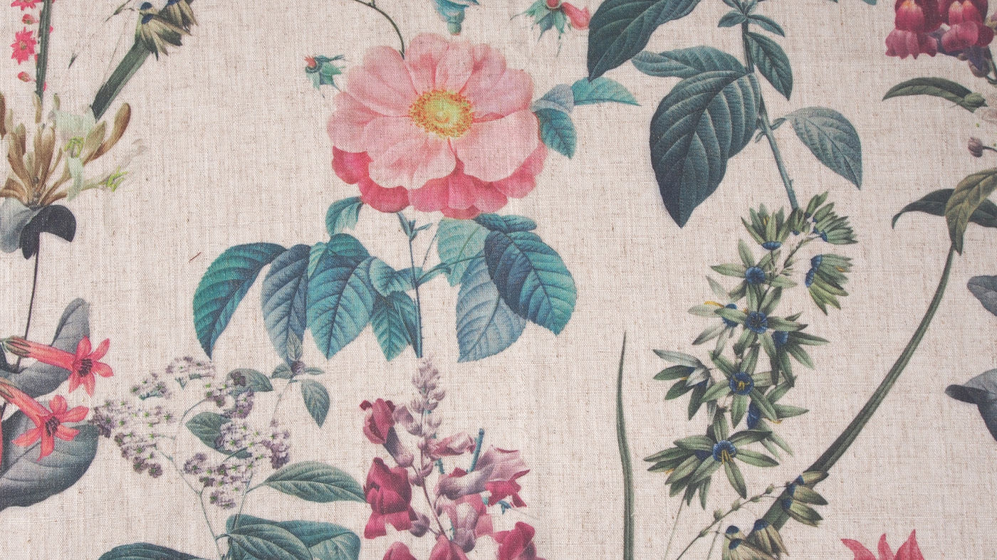 Hathaway curtain fabric in Rose