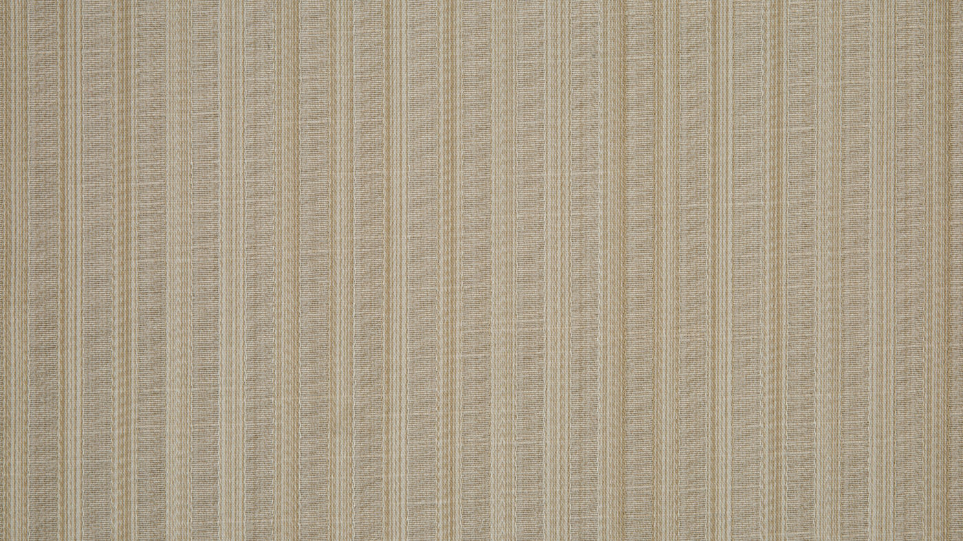 Petworth curtain fabric in Taupe