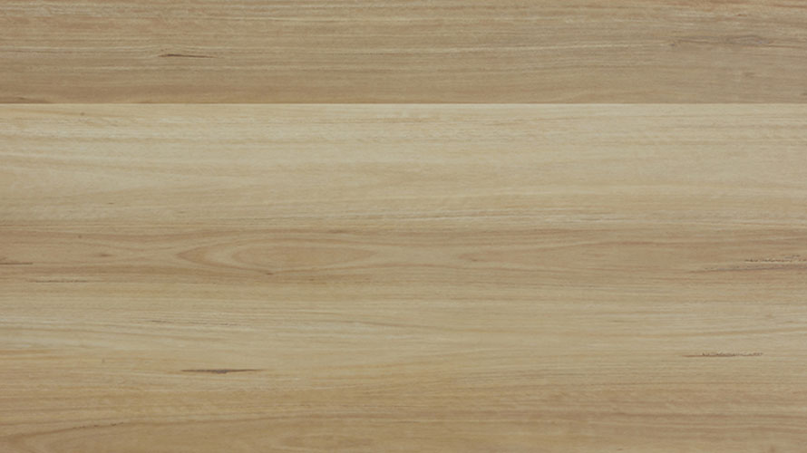 Fusion Hybrid 6mm - NSW Blackbutt – swatch