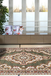 Silver Collection traditional 1020 R33 Rug